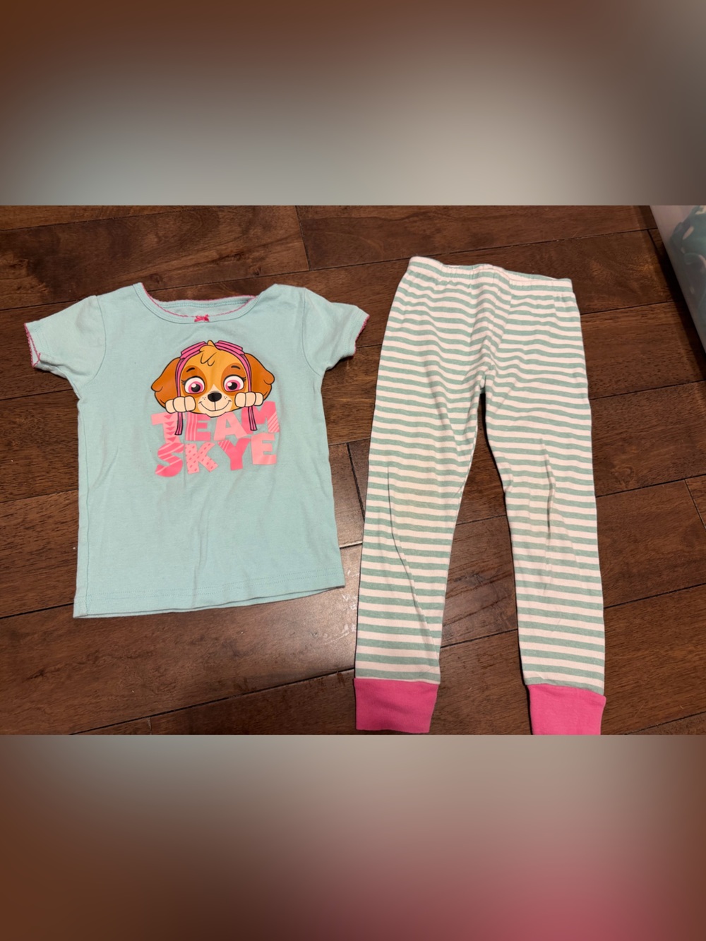 Paw Patrol Teal & Pink Skye Two-Piece Pajama Set